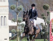 Whitaker W  Fandango TosTour2013- S5 2803 : Arezzo, Arezzo Equestrian Centre, Fandango, Toscana Tour 2013, Whitacker William, foto di Stefano Secchi ©
